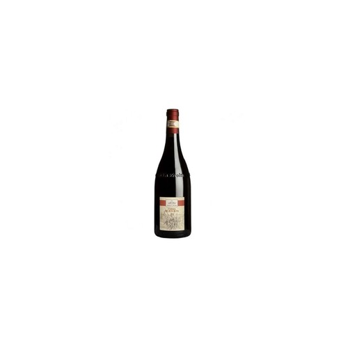 Terra rivolta aglianico - aglianico, del