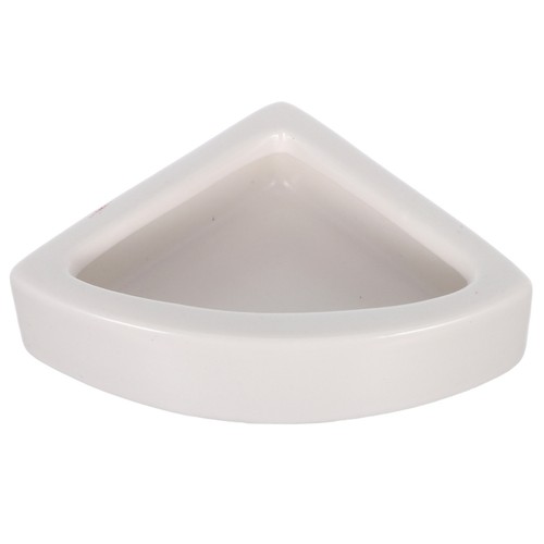 1pz rettili lucertola - rettili,