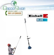 Troncarami/Tagliarami/Motosega