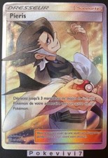 Carte pokemon pieris 234 236 - carte, 234/236