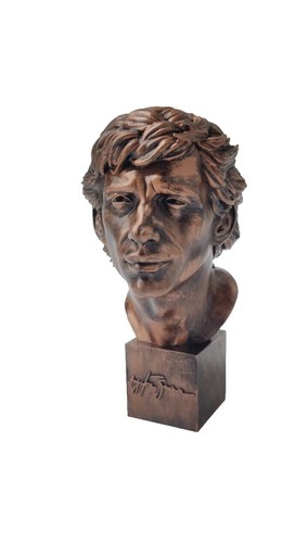 Ayrton senna mclaren - ayrton,