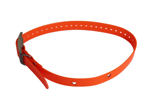 Garmin dc40 cinghia collare - garmin,
