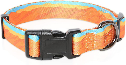 Collare cane modello classici - cane,