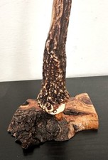 SOPRAMMOBILE CON CORNO DI
