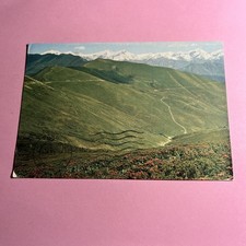CARTOLINA A COLORI COLLEZIONE