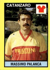 Figurina calciatori Vallardi New anno 1988/89 # 393 Catanzaro Palanca