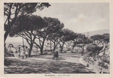 Imperia - Bordighera - Viale