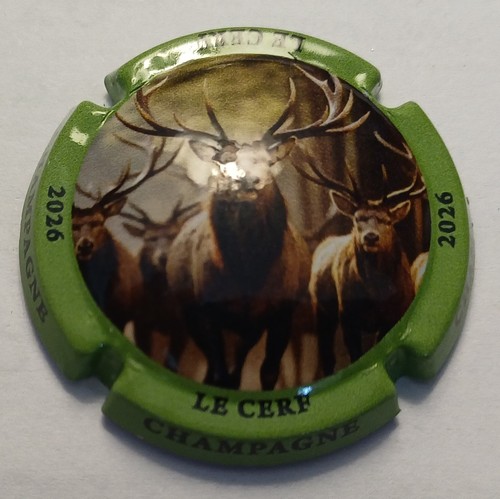 Jeroboam champagne generique - jeroboam,