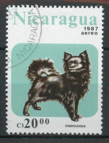 Francobollo chihuahua cane - francobollo,