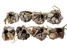 SEA SHELLS IN NETS 8 DIFFERENT