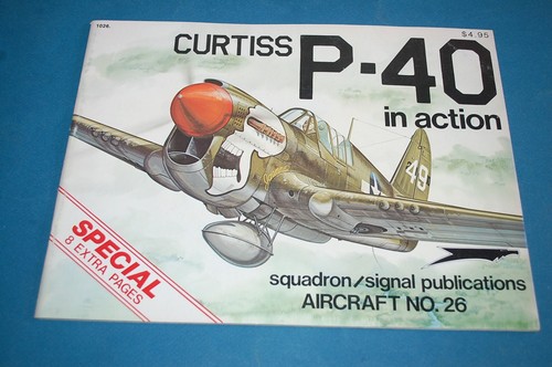 Curtiss in action - p-40,