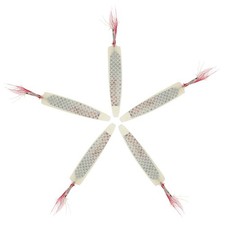 5 Pcs Attrezzatura Da Pesca