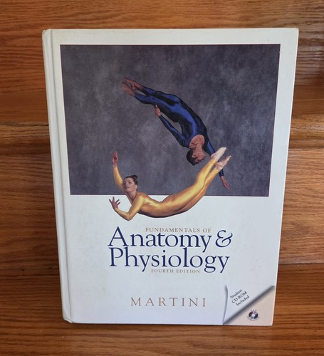 Fundamentals - , of