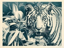 Shepard Fairey - Grazia e