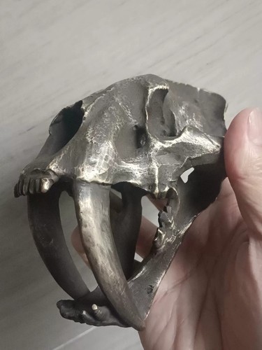 Dente sciabola rame ottone