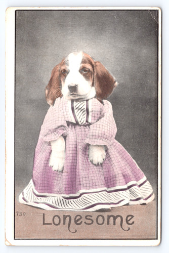 C1910 antropomorfo basset - c1910,