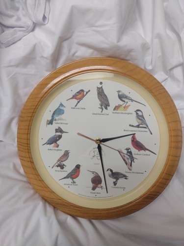 Orologio bird national audubon - orologio,