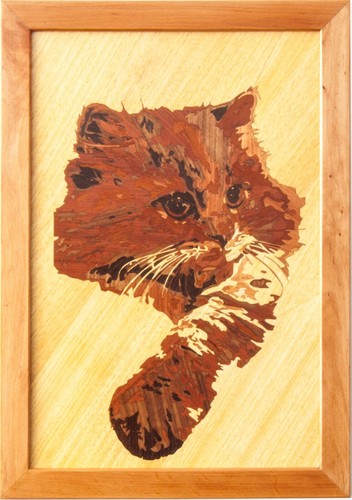 Regalo gattino misura - regalo, di