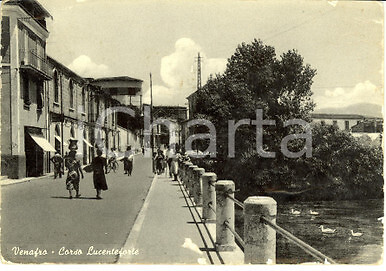 1955 venafro veduta di - (is),