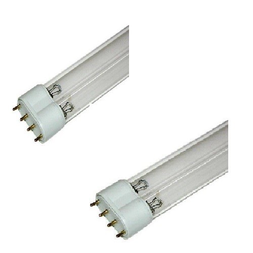 Lampadina lampada ricambio