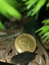 10 Centesimi Malta 2008