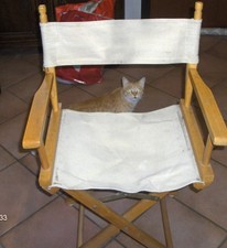 SEDIA DA REGISTA PIEGHEVOLE IN