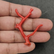 Ramo di corallo rosso naturale