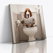 Bassett Hound cane lettura