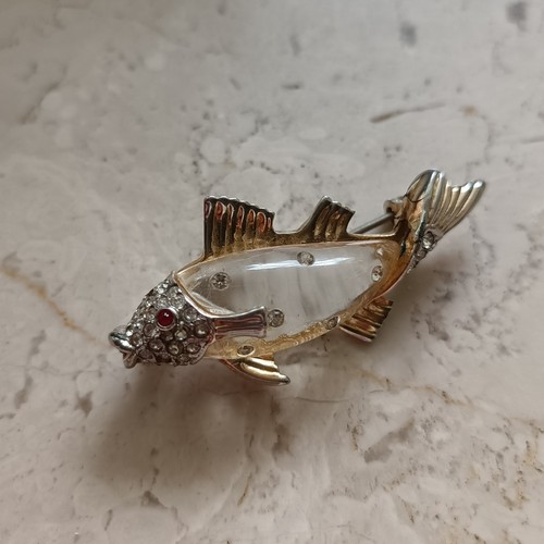Spilla pesce pancia gelatina