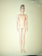 Barbie Ken Fashionistas Petite