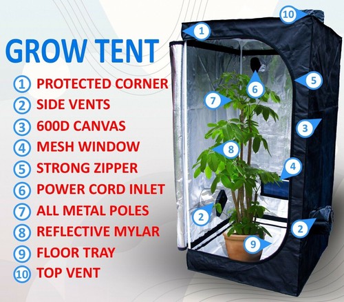 Tenda coltivazione x 80 - coltivazione,
