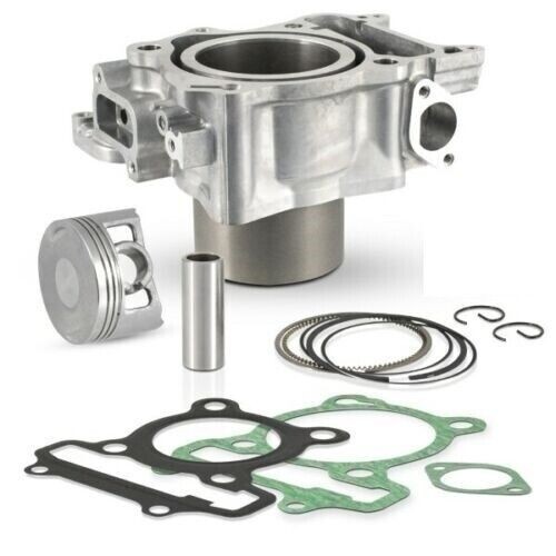 Gruppo termico evok - honda, nss