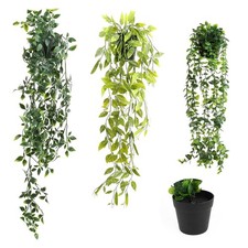 VFANDV Pianta Finta Cadente 3