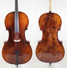 Violoncello favoloso! Modello