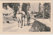 FOTOCARTOLINA TRASPORTO SULLA NEVE CON CAVALLO E SCIATORE ANIMATA  MF126505