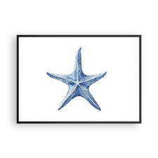 Poster 100x70cm Stella Marina