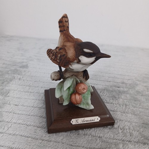 Giuseppe armani sparrow - armani, "sparrow