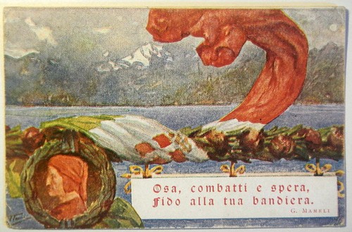 Cartolina osa combatti - cartolina,