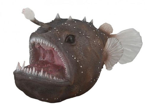 Collecta 88967 pesce - pesce, 12