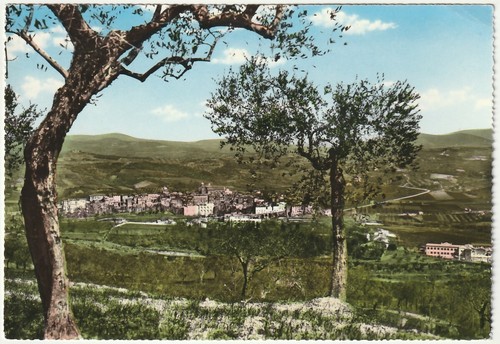 Orte viterbo panorama - viterbo,