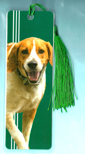 Segnalibro inglese pointer - inglese,