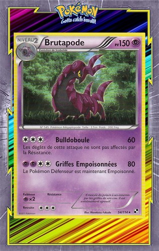 Brutapode noir et blanc - -,