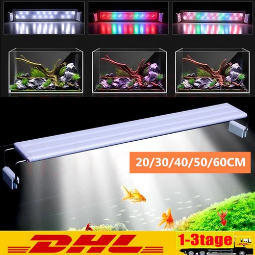 Illuminazione acquario led rgb - acquario,