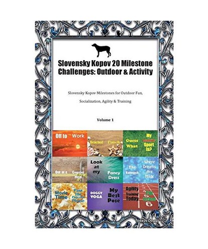 Slovensky kopov milestone - kopov, 20