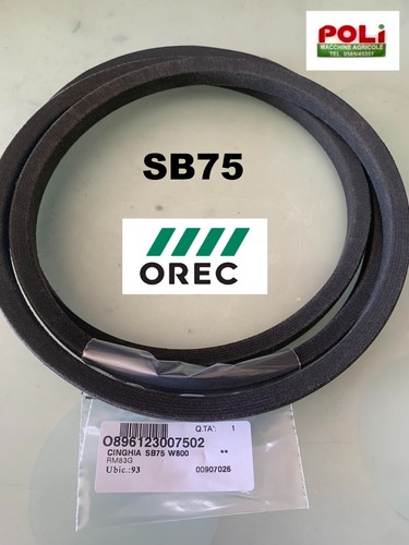 Orec rabbit rm83g - orec, cinghia
