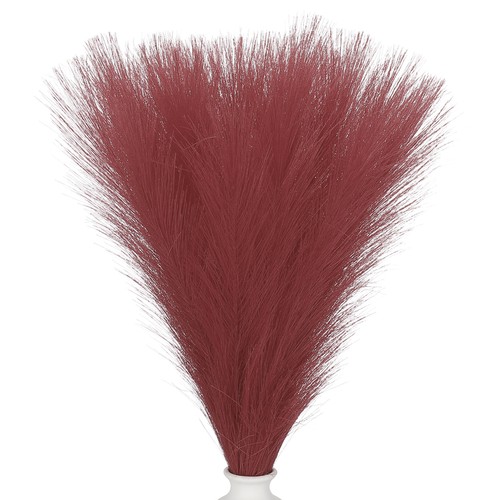 30pz erba pampas - 30pz,