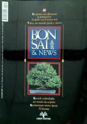 Bonsai news gennaio - news, 69,