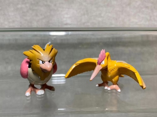 Spearow fearow pokemon - spearow,,
