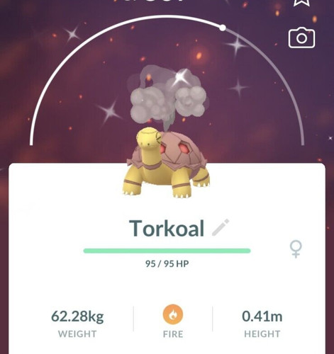Torkoal lucido t - lucido,