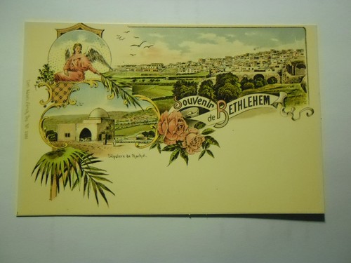 Cartolina nuova ripr - cartolina,